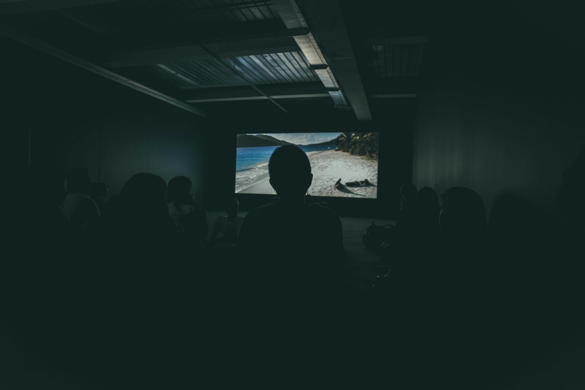 Can film unteach Hasbara?