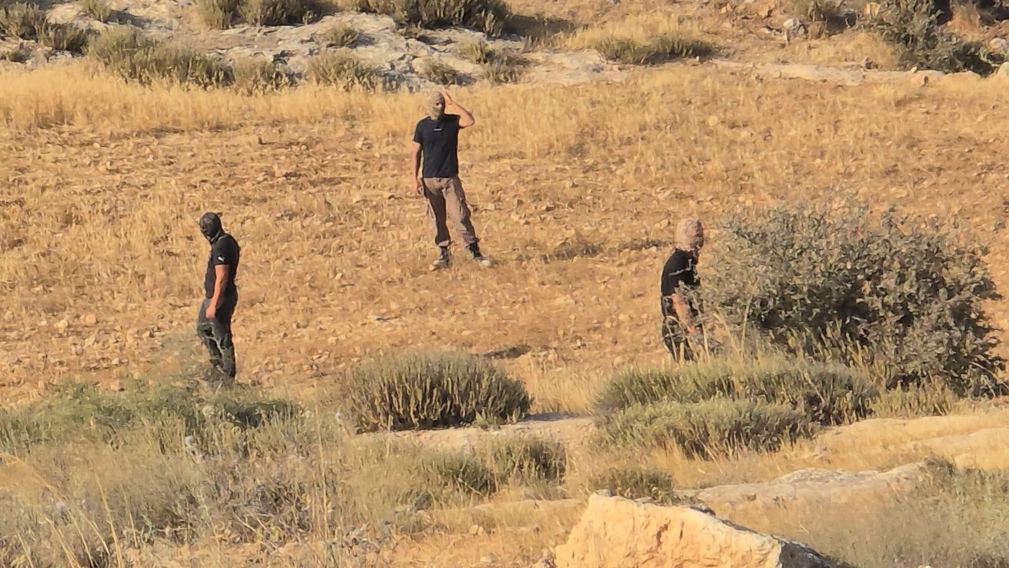 ‘There is not a blade of grass that is not affected’: a dispatch from Masafer Yatta